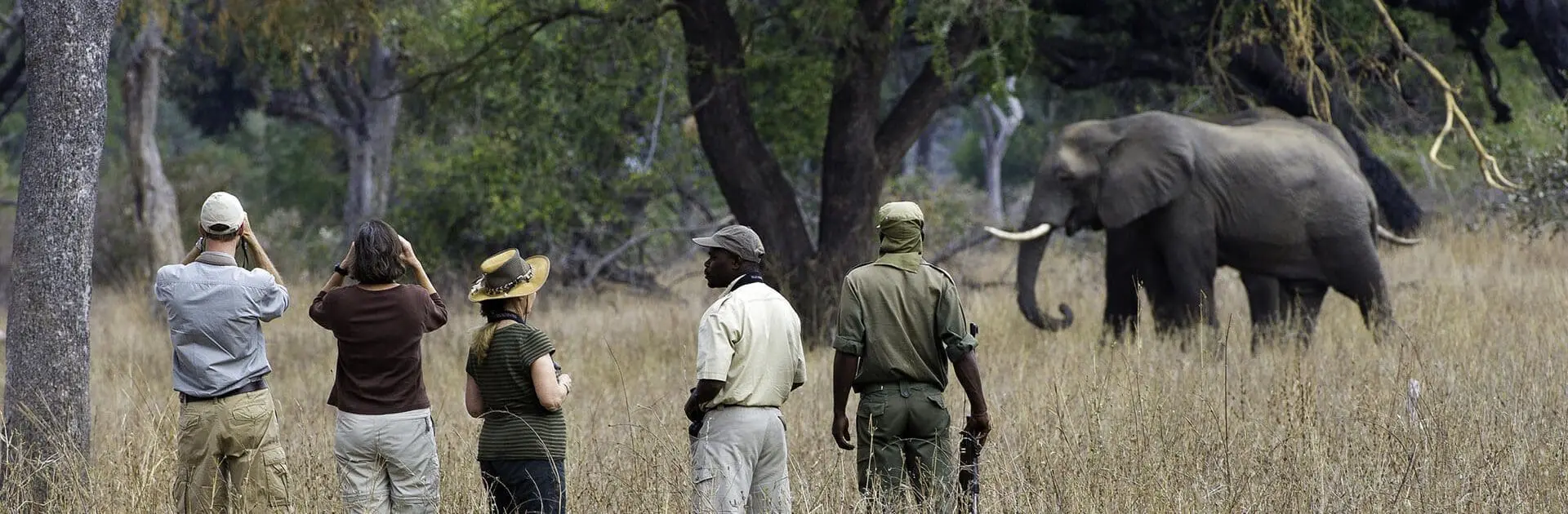 South Luangwa National Park, Zambia | Go2Africa