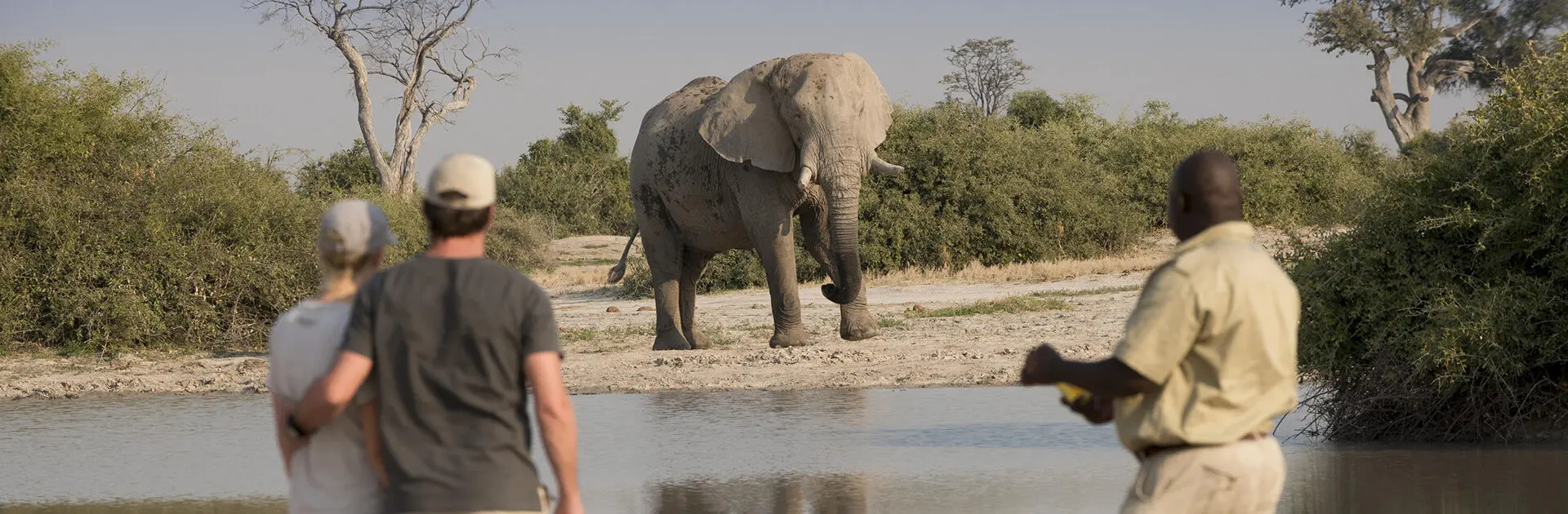 First Time Safari - Everything you need to know