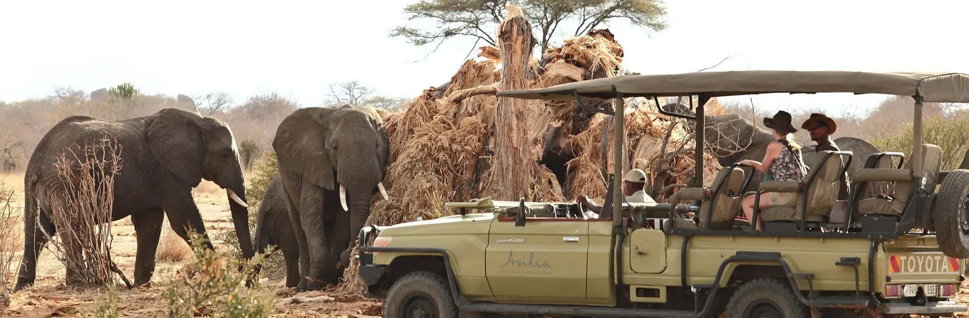 Southern Serengeti, Tanzania | Go2Africa