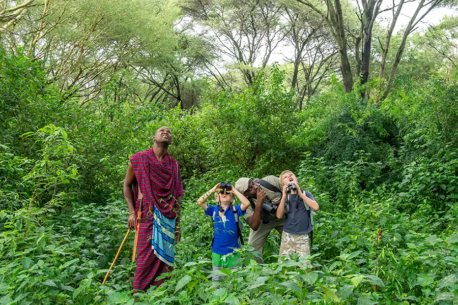 Bush walks and bird viewing