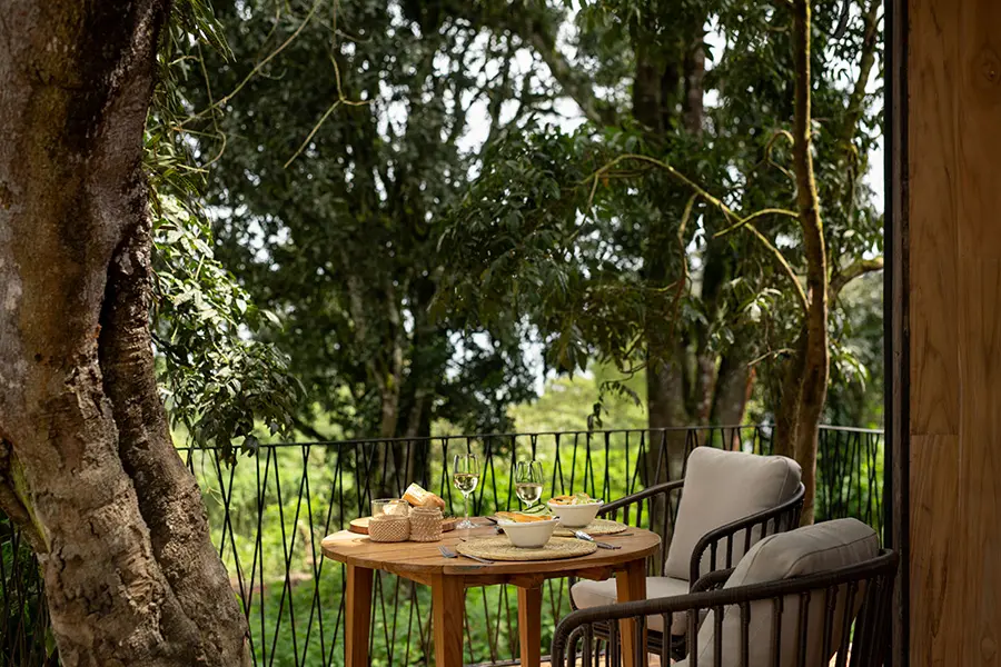 Tea on the viewing deck. 