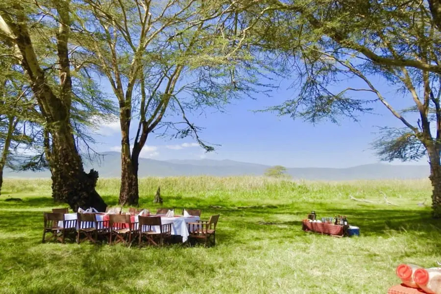 A picturesuqe family lunch awaits, on the floor of the Ngorongoro Crater.