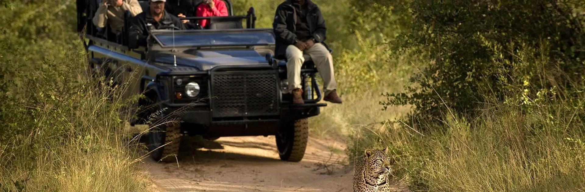 Sabi Sand Game Reserve, South Africa | Go2Africa