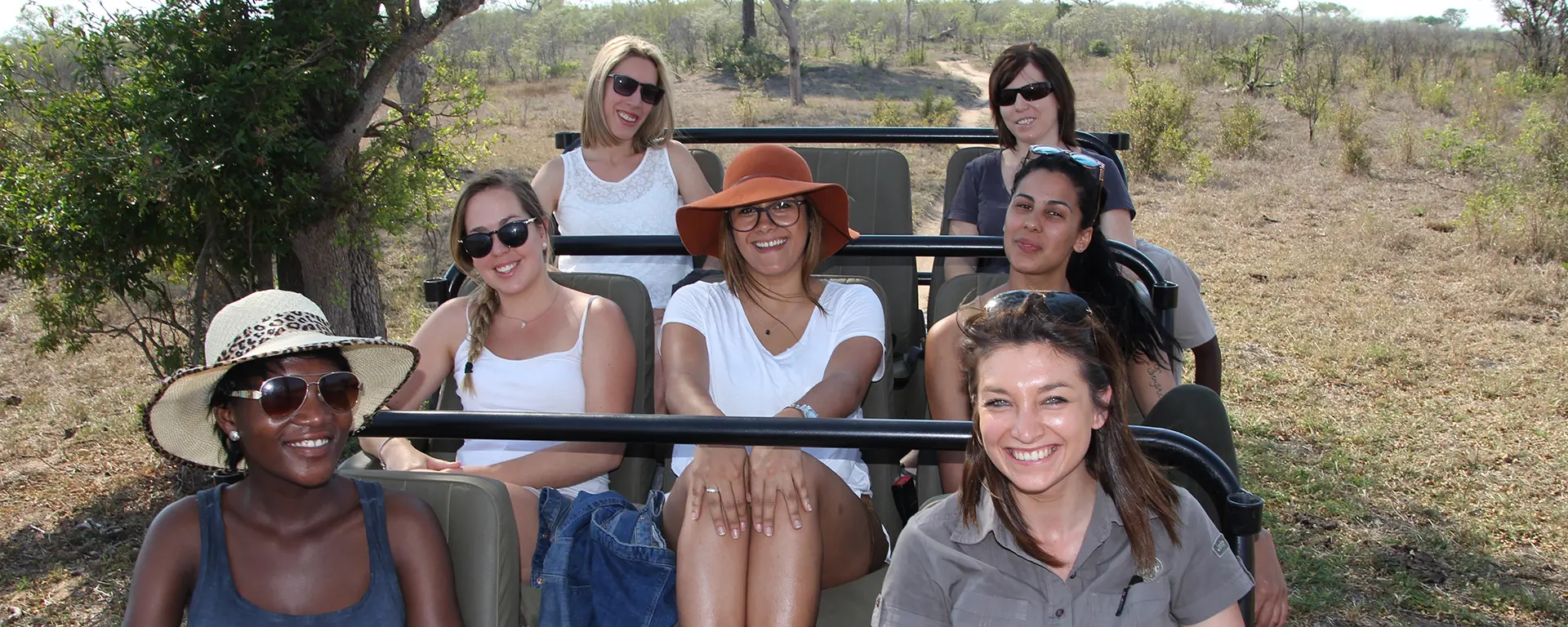 Go2africans on safari