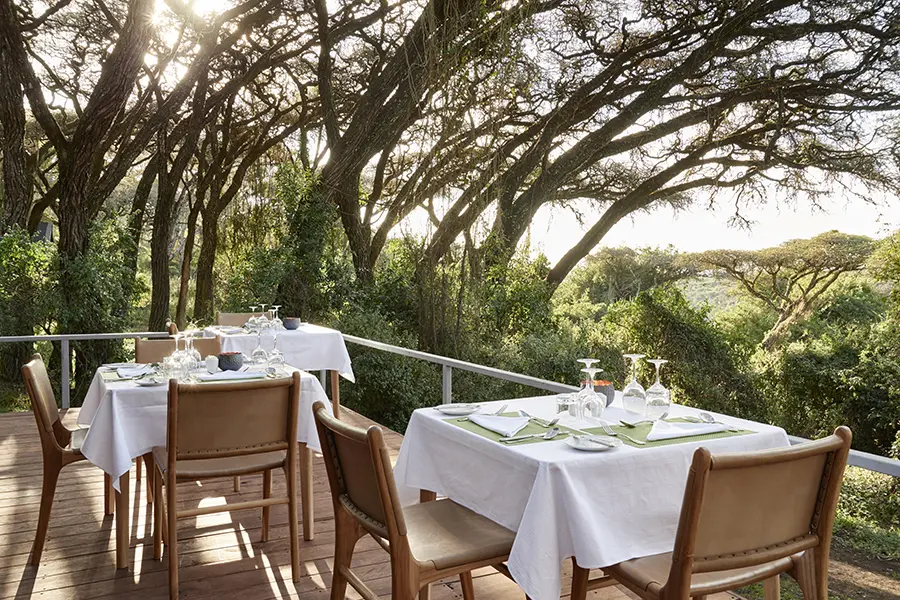 Dine under the acacia trees.
