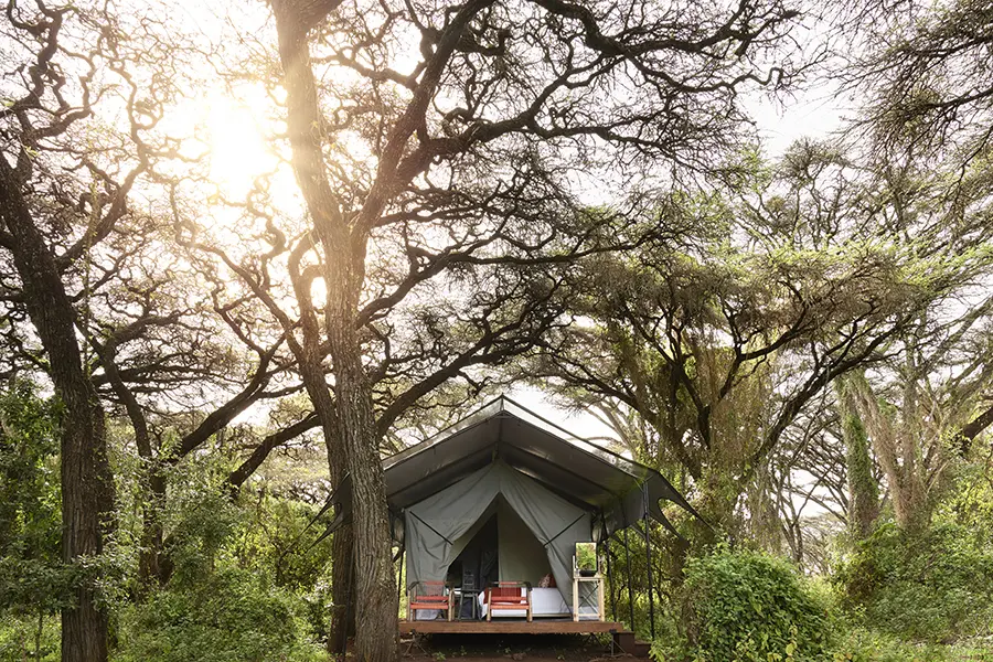 Wake up to the Wonders of the Ngorongoro | Ngorongoro Crater Camp