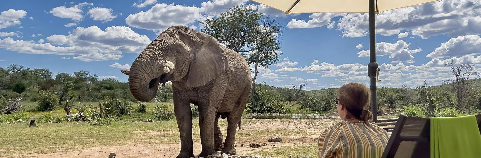 Etosha National Park, Namibia | Go2Africa