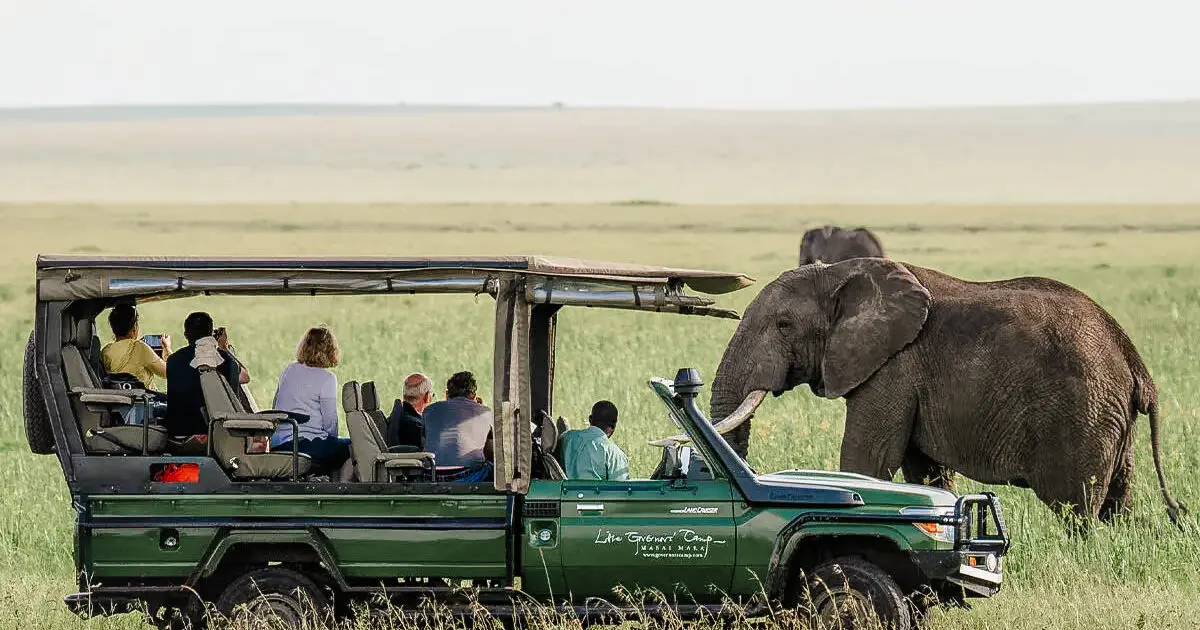 Elephant spotted close to a vehicle on a game drive in Africa | Go2Africa