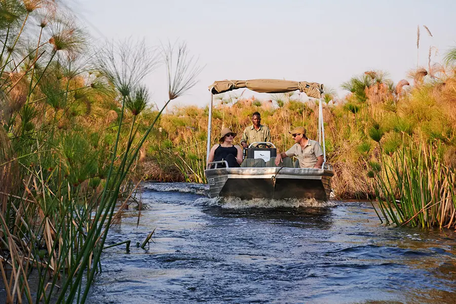 A boat safari takes you through the larger channels. 